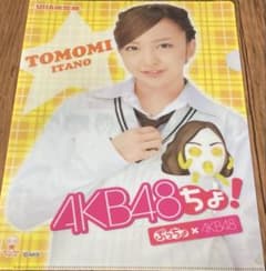 板野友美 クリアファイル セブンイレブン限定ぷっちょ購入特典 AKB48