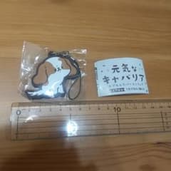 元気なキャバリア『むっ』のサムネイル
