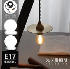 未使用品　光ノ屋照明 真鍮ペンダントライト E17 コンセント式　5mのサムネイル