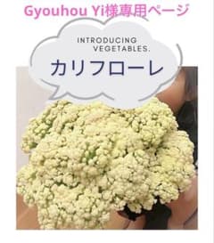 Gyouhou Yi様専用ページのサムネイル