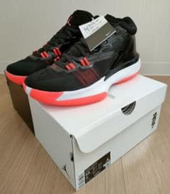 JORDAN ZION 1 PF ジョーダン ザイオン1 27.5cmのサムネイル