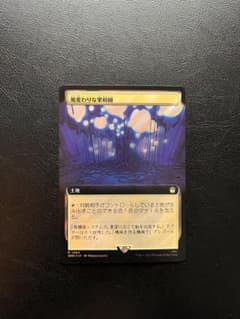 サージfoil 風変わりな果樹園 - メルカリ