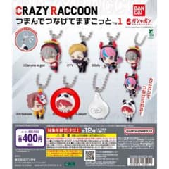 CRAZY RACCOON つまんでつなげてますこっと rionのサムネイル