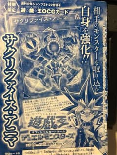 あっちゃん♪即購入okさん専用のサムネイル
