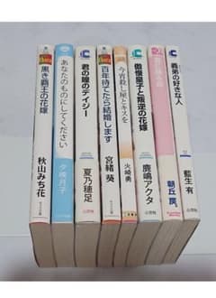 BL小説 8冊セット まとめ売り - メルカリ