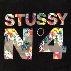 ステューシー Tシャツ stussyのサムネイル