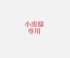 プロジェクター　VANKYO Leisure 430 動作確認済みのサムネイル