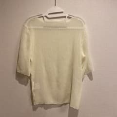allamanda INGNI シースルー カットソー Tシャツのサムネイル