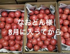 なおどん様　麗夏トマト　5kのサムネイル