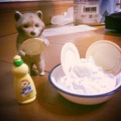食玩*アライグマの皿洗いセットのサムネイル