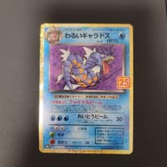 ポケモンカード わるいギャラドス 25th プロモ ギャラドス セット 匿名配送】ポケモンカード わるいギャラドス プロモカード 25th - メルカリ