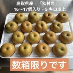 55 ．鳥取県産　秋甘泉　農家直送 　　　　 　　　　　5 キロ以上のサムネイル