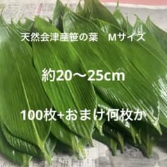 天然会津産笹の葉　新葉　100枚+おまけのサムネイル