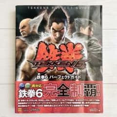 初版・帯付き】鉄拳6 パーフェクトガイド (ゲーマガBOOKS) - メルカリ