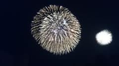 ゆめ様専用のサムネイル