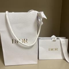 DIOR ショップ袋 2枚セットのサムネイル