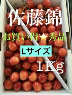 佐藤錦 1kg 秀品 果樹園直送 さくらんぼのサムネイル