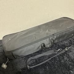 GEWA バイオリンケース 4/4サイズ 湿度計付き 弦楽器 弓4本収納 - メルカリ