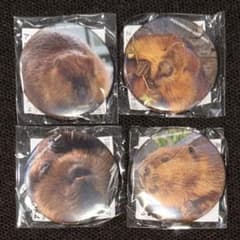 アトア アメリカビーバー マン 缶バッジ 第1弾【 4点セット】