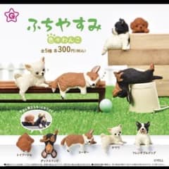 ふちやすみ 色々わんこ チワワ2つ - メルカリ