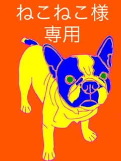 ねこねこ様 専用のサムネイル
