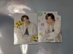 八木勇征 フォトカード 2枚セット SUNFLOWERのサムネイル