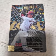 ドリームオーダー 辰己涼介 ZRのサムネイル