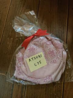 アツギ　ATSUGI ブラジャー C75 ピンクのサムネイル