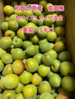 和歌山県産 南高梅 Mサイズ Lサイズ混合 5kg残り一箱のサムネイル