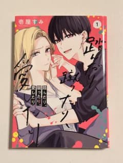 踏んだり、蹴ったり、愛したり 1 壱屋すみのサムネイル