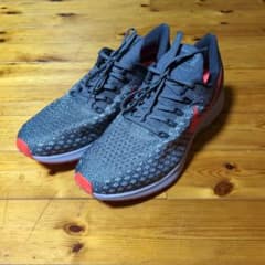 NIKE ナイキ エアズーム ペガサス35 29cmのサムネイル