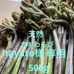 わらび　天然　極太　hayato様　連絡用ページ わらび 天然 カギわらびを選びました hayato様専用ページ 500g - メルカリ