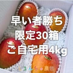【訳あり】宮古島産アップルマンゴー4kg（ご自宅用）のサムネイル