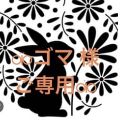 *↟⍋*↟⁡⁡ゴマ 様 ご専用*↟⍋*↟⁡⁡のサムネイル