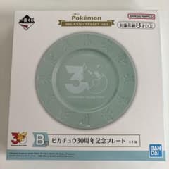 이치 반 쿠지 포켓몬 30 주년 기념 플레이트 B 상