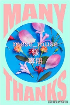 アルバボタニカ　シャンプーセット　②のサムネイル