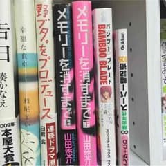 メモリーを消すまで 上下巻のサムネイル