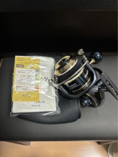DAIWA ダイワ20 ソルティガ 18000-P SALTIGA スピニング - メルカリ