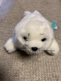 タグ付き新品アザラシぬいぐるみのサムネイル