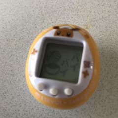 たまごっち イーブイ だいすきのサムネイル