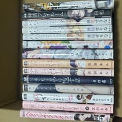 BL漫画 まとめ売り 14冊セット ボーイズラブのサムネイル