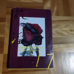 荒木経惟　花淫　荒木経惟写真全集17 荒木経惟写真全集 第17巻 (花淫) - メルカリ