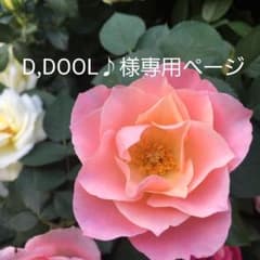 D,DOMOL♪様専用ページのサムネイル