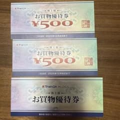 ヤマダ電機 株主優待 6000円分のサムネイル