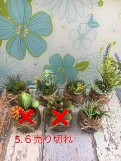 フェイクグリーン 多肉植物 サボテン ドライフラワーのサムネイル