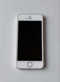 iPhone 5sのサムネイル