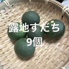 露地すだち9個のサムネイル