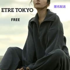 美品 ETRE TOKYO 矢野未希子 Wフェイスハーフジップニットプルオーバー
