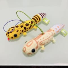 レオパのきいちゃん　なかよし　ぬいぐるみ2点セット