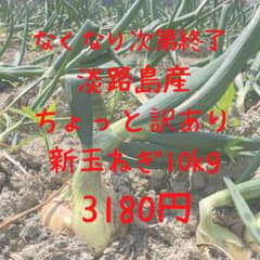 淡路島産　無農薬新玉ねぎ10kgのサムネイル